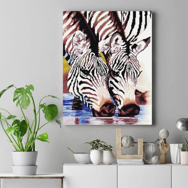 zebrak gyemantszemes kirako 3