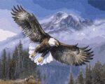 amerikai sas szamok szerint paint by numbers 2