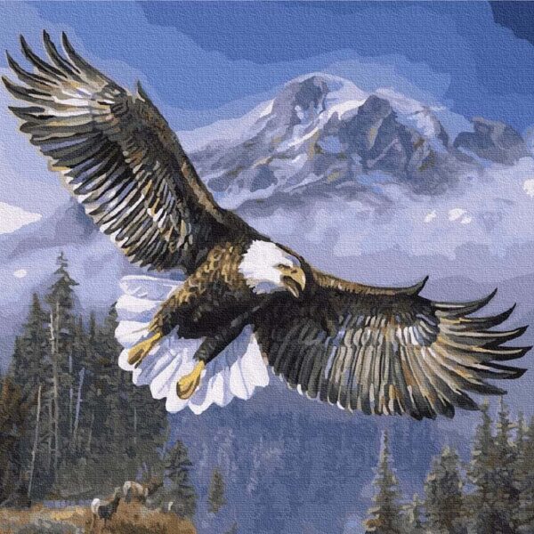 amerikai sas szamok szerint paint by numbers 2