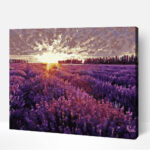 naplemente a levendulamezon szamok szerint paint by numbers 1