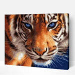 tigris portre festes szamok szerint 1