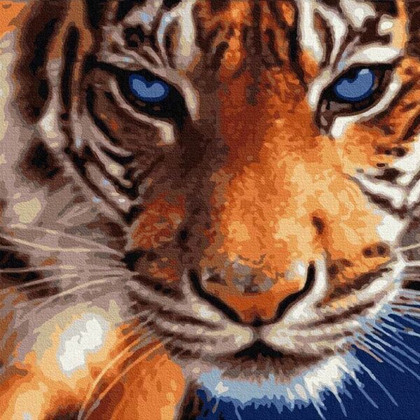 tigris portre festes szamok szerint 2