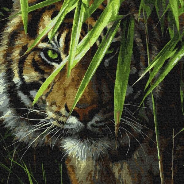 zold szemek tigris szamok szerint paint by numbers 2