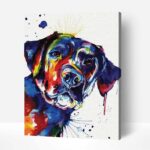 szinpompas kutya festes szamok szerint paint by numbers 1