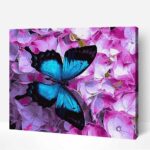 pillango festes szamok szerint szamfesto kerettel 1