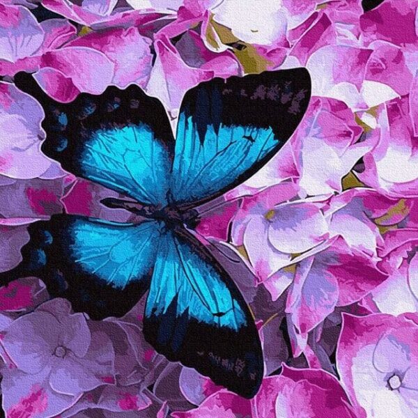 pillango festes szamok szerint szamfesto kerettel 2