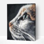 macska festes szamok szerint szamfesto kerettel