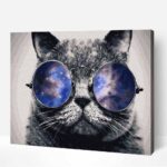 az eg tukrozodese macska szemuvegben szamfesto keretre feszitve festes szamok szerint 1