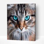 azurkek szemek macska festes szamok szerint szamfesto kerettel