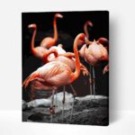 flamingok festes szamok szerint szamfesto 1
