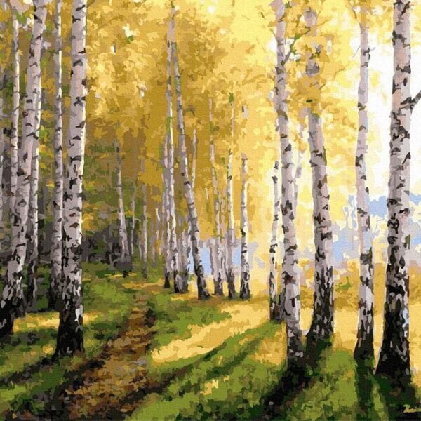 napos nyírfák számfestő festés számok szerint 40x50 cm (2)