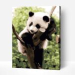 panda számfestő kerettel festés számok szerint (1)