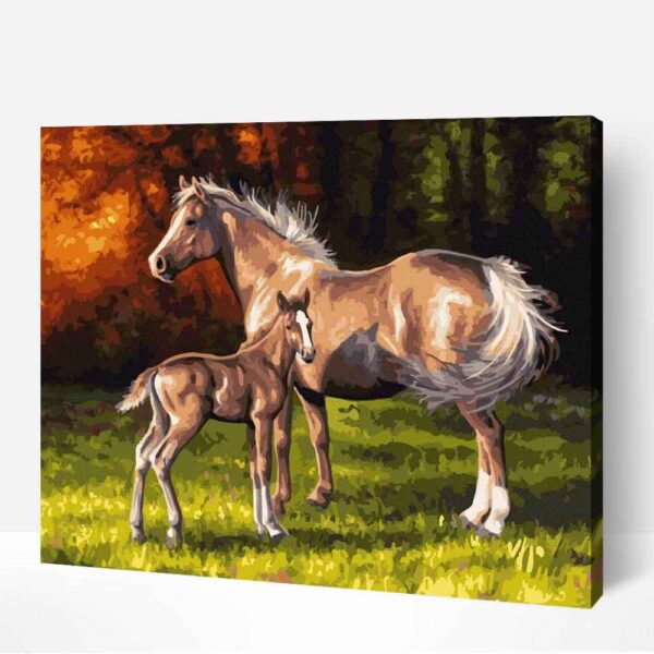 szabad lovak számfestő kerettel festés számok szerint (1)