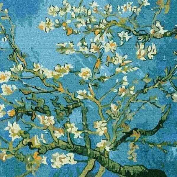 Van Gogh Mandulavirágzás számfestő (2)