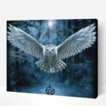 fehér bagoly számfestő kerettel (1)