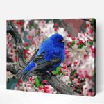 Indigópinty madár számfestő