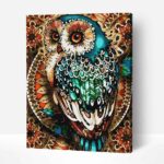 Színpompás Bagoly számfestő kerettel