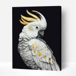 fehér kakadu papagáj számfestő készlet kerettel (1)