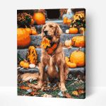 labrador és sütőtök számfestő készlet kerettel (1)