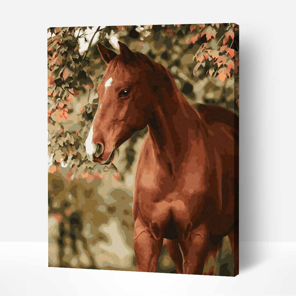 ló a kertben számfestő kerettel (1) ló a kertben számfestő kerettel (1)