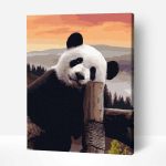 panda számfestő készlet kerettel (1)