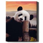 panda számfestő készlet kerettel (3)