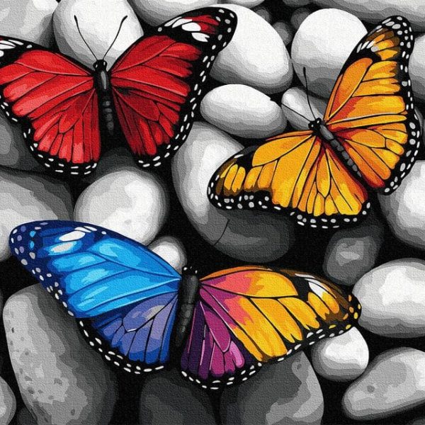 Színes Szárnyak Pillangók Festés Számok Szerint Keretre feszítve (2)