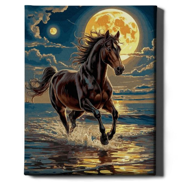 obrazy malowanie po numerach oh art 9 1 2e5ad035 8bb6 4a9b a02a b356556d7bc4